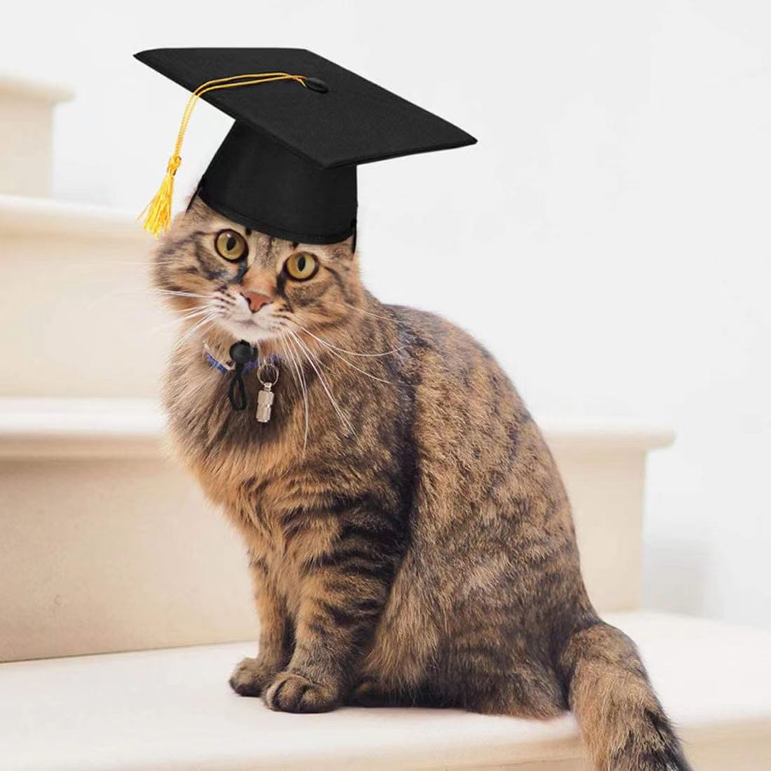 Furry Scholar's Graduation Cap with Tassel