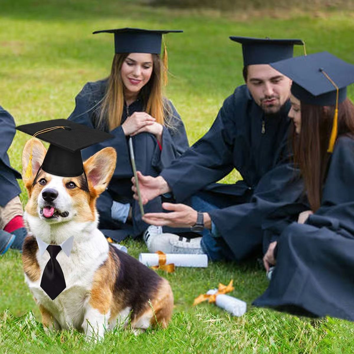 Furry Scholar's Graduation Cap with Tassel