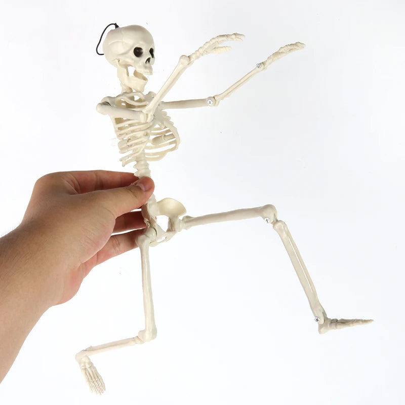 Creepy Movable Plastic Skeleton Skull Bones for Halloween Parties and Haunted Home Decor